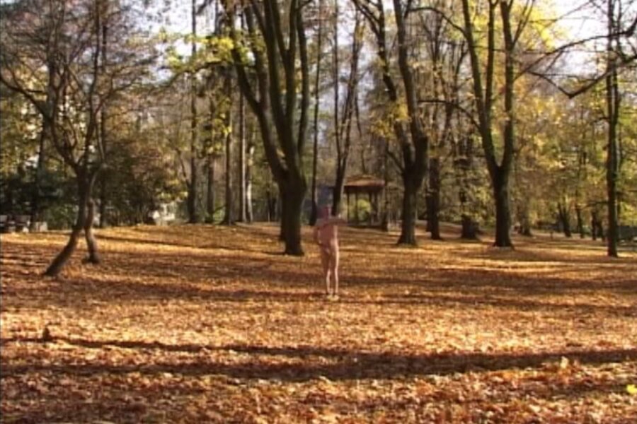 Vladimír Havlík_Umělecký tréning božského Marcela (časově omezený výkon)_2004_KVV UPOL